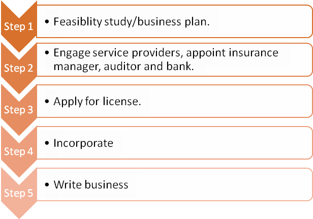 Step 1: Feasibility study/business plan. Step 2: Engage service providers, appoint insurance manager, auditor and bank. Step 3: Apply for license. Step 4: Incorporate.Step 5: Write business. 